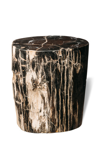 Petrified wood decorative cube