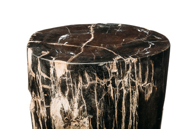 Petrified wood decorative cube