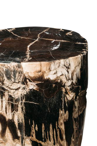 Petrified wood decorative cube