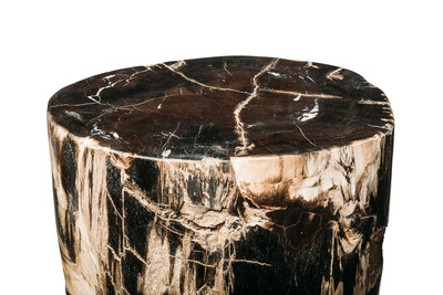 Petrified wood decorative cube