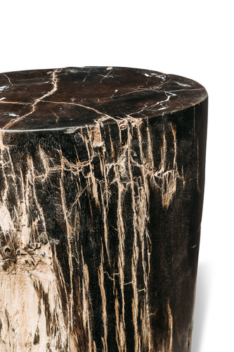 Petrified wood decorative cube