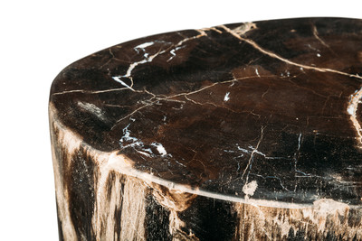 Petrified wood decorative cube