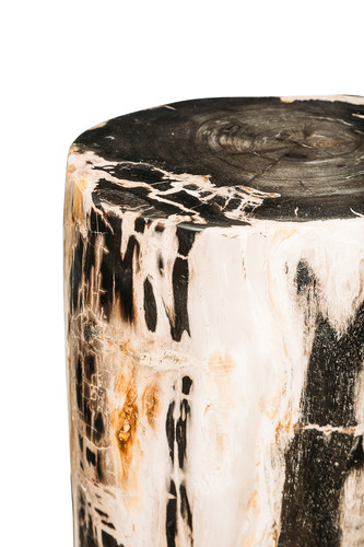 Petrified wood decorative cube