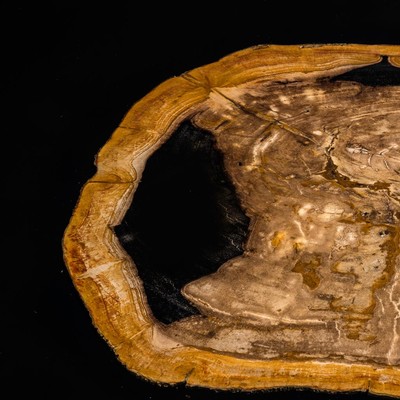 Petrified wood Eichholtz Side Table Villiers