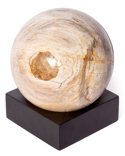 Petrified wood sphere