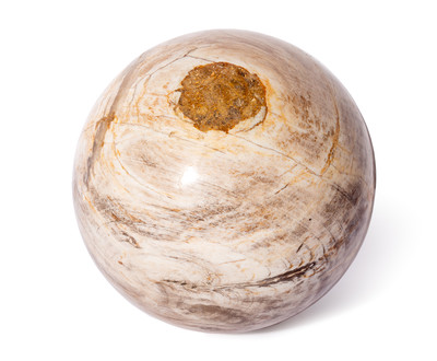 Petrified wood sphere