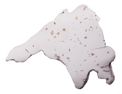 Meteorite Dronino 49,13 g