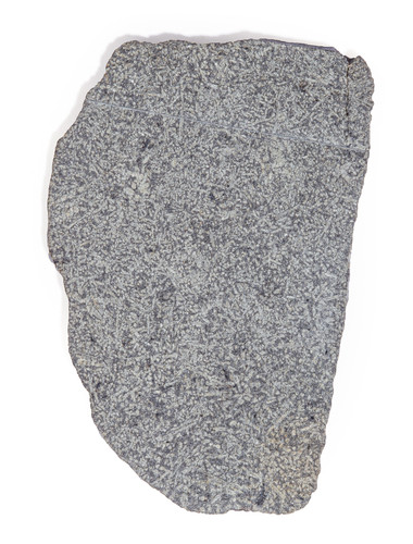 Martian meteorite NWA 12269 9 g