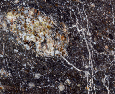 Lunar meteorite NWA 11524 20,47 g