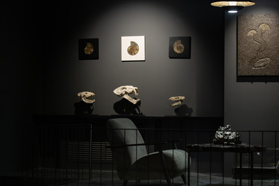 Machairodus sp. skull