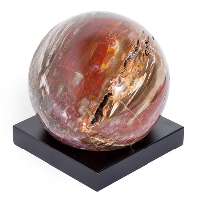 Petrified wood sphere