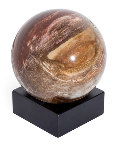 Petrified wood sphere
