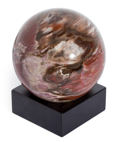Petrified wood sphere