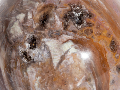 Petrified wood sphere