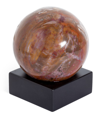 Petrified wood sphere