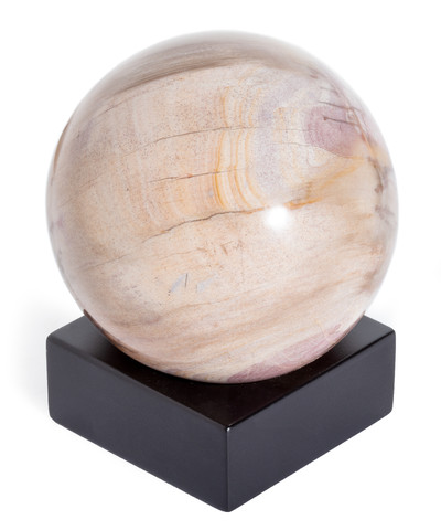 Petrified wood sphere