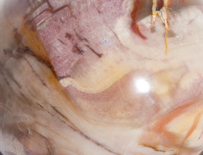 Petrified wood sphere