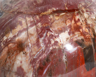 Petrified wood sphere