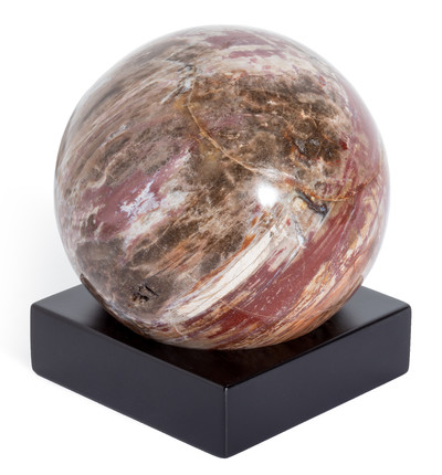 Petrified wood sphere