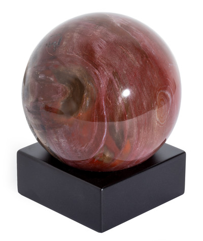 Petrified wood sphere