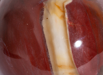 Petrified wood sphere