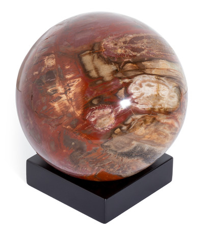 Petrified wood sphere