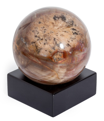 Petrified wood sphere