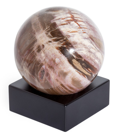 Petrified wood sphere